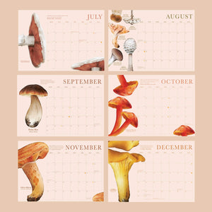 2024 Calendar | Mushrooms