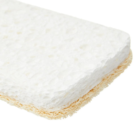 Dish Washing Sponge Scourer | Seep