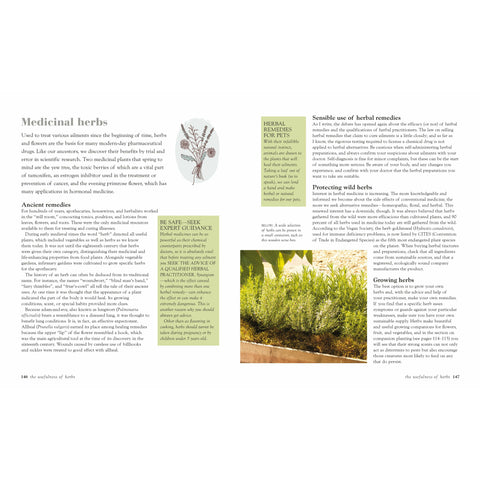 Green Housekeeping