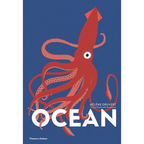 Ocean | Lift the Flap