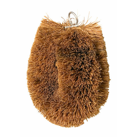 Vegetable Brush | Coconut