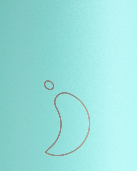 Water Bottle 500ml | Pastel Green