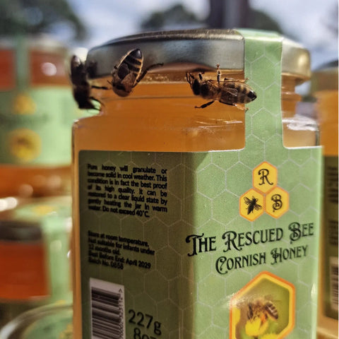 Runny Cornish Honey, 227g