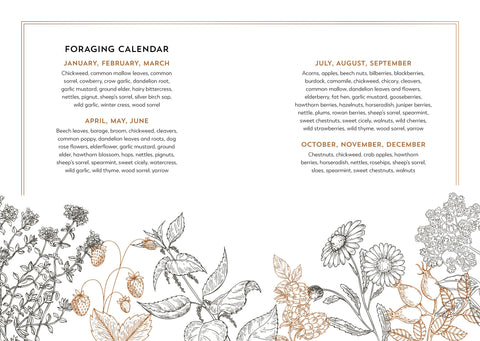 Hedgerow Apothecary Forager's Handbook