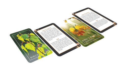 Hedgerow Apothecary Foragers Card Deck