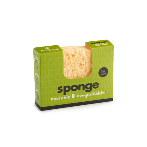 Compostable Sponge, Large