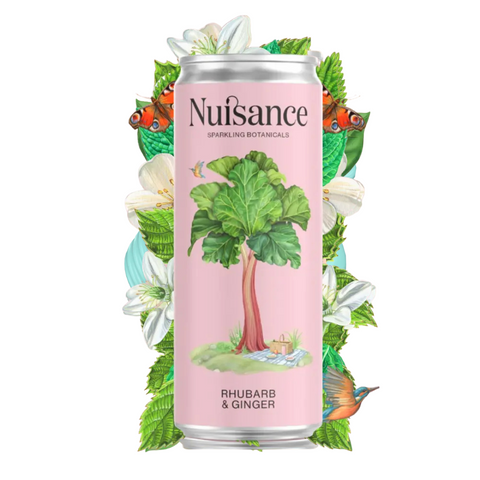 Botanical Soda | Rhubarb & Ginger