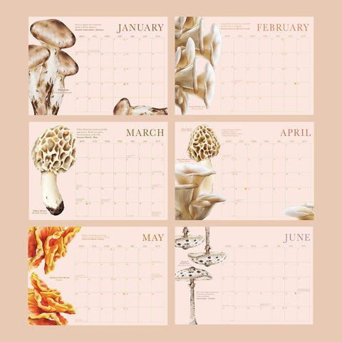 2025 Calendar | Mushrooms