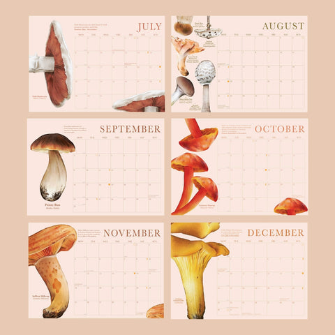 2025 Calendar | Mushrooms