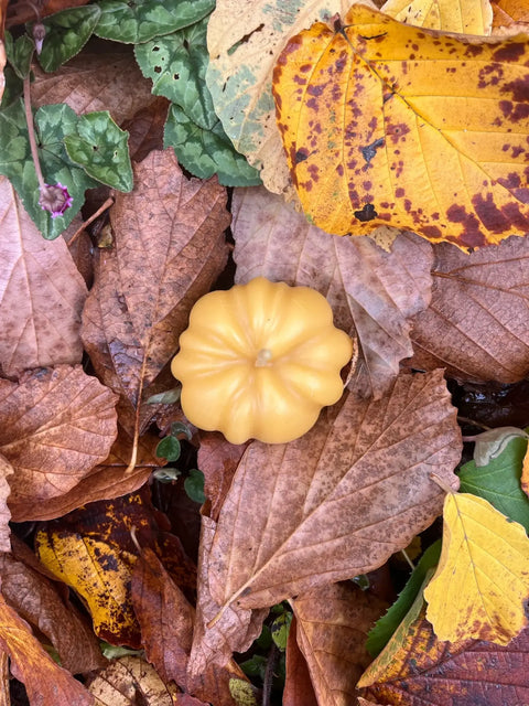 Beeswax Candle | Pumpkin