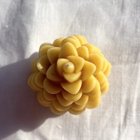 Pine Cone Beeswax Candle