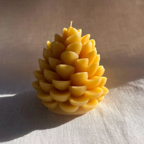Pine Cone Beeswax Candle