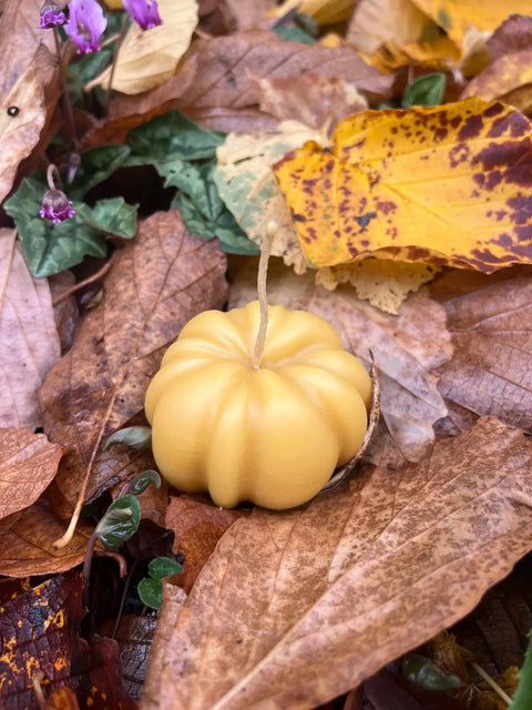 Beeswax Candle | Pumpkin