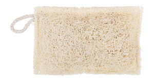 Loofah Dish Washing Sponge